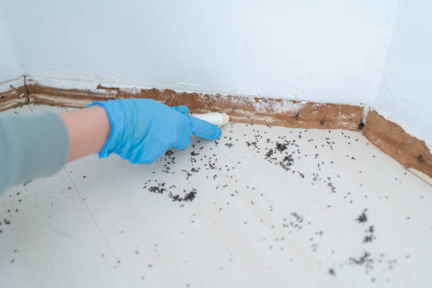 Best Bed Bug Extermination  in Susquehanna Trails, PA